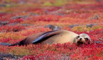 Spirit of Peru with Amazon and Galápagos Cruises Lima → Guayaquil (2027)