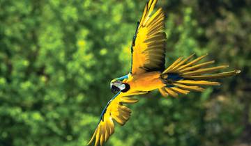 Spirit of Peru avec Amazon Cruise Lima → Iquitos (2027) circuit