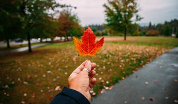 Splendide voyage dans les Rocheuses et en Alaska Vancouver → Vancouver (2027) circuit