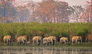 Arunachal Monastic Trip