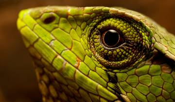 ECUADOR & GALAPAGOS ABENTEUER Rundreise