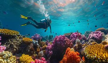 L\'expérience ultime de l\'Égypte : Le Caire, croisière sur le Nil et Sharm El Sheikh circuit