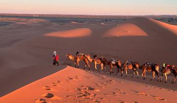 Gruppe 3 Tage Wüstentour von Fes nach Marrakech Rundreise