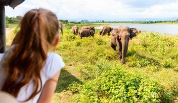 Sri Lanka : vacances familiales haut de gamme