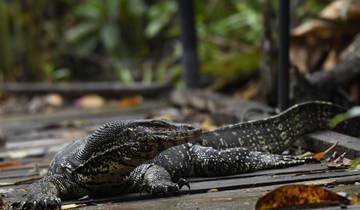 Sri Lanka Premium Familienurlaub Rundreise