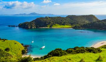Bay of Islands Explorer Tour