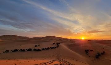 9 Tage Casablanca nach Casablanca: Kaiserliche Städte und Wüste Sahara Tour Rundreise
