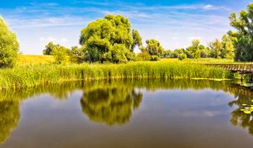 The majestic Danube, the authentic Sava and Lake Balaton (port-to-port cruise)
