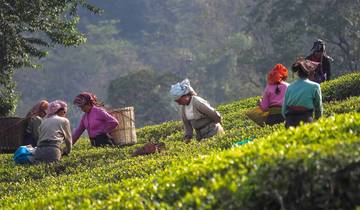 Das malerische Sikkim, Darjeeling nach Gangtok
