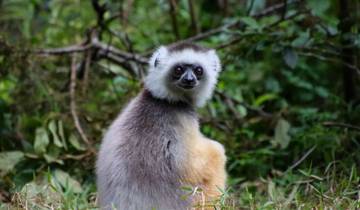 Découvrez Madagascar 2027 circuit