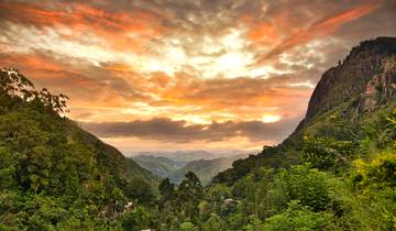 Sri Lanka komfortabel erwandern (14 Tage)
