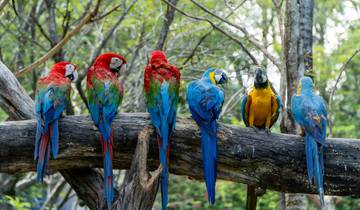 6 days Honduras Colonial, Coffee & Maya