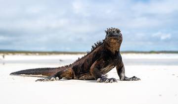 4 jours d\'excursion sur l\'île de Santa Cruz aux Galápagos circuit