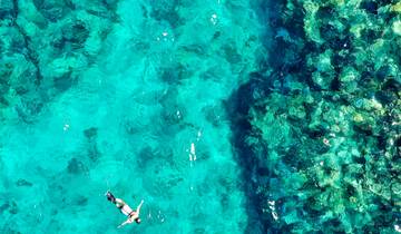 7 days Honduras Roatan & Utila