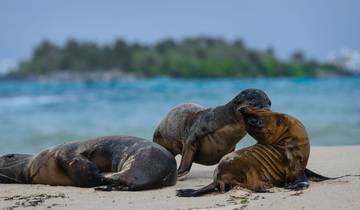 8 jours d\'aventure sur les îles Galápagos avec Santa Cruz et Isabela circuit