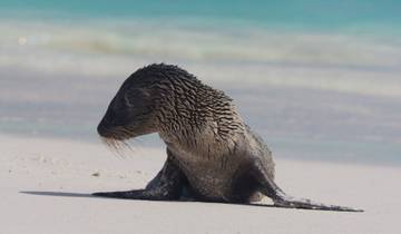 Galapagoseilanden Ontdekkingsreis (privé) - 7 dagen