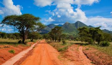 Kenya Amboseli & Tsavo Safari - 5 days