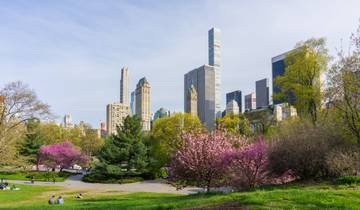 Exploration des chutes du Niagara et de la côte est historique - 4 jours