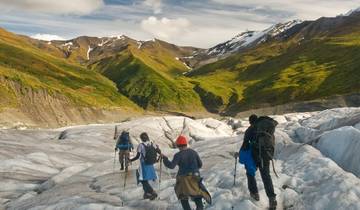 Alaska Denali & Wrangell Expedition - 12 days Tour