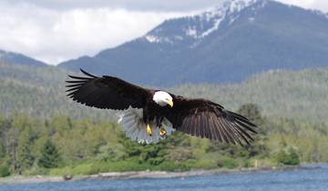 Alaska Denali, Kenai & Wrangell Adventure - 20 days