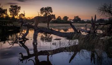 5-Day Okavango Delta Wildlife Safari: Xakanaka & Khwai Adventure Tour