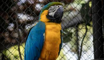 14 days Honduras Caribbean & Mayan Experience