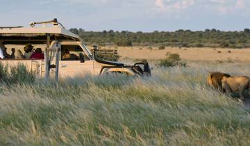 Circuito Expedición Ultimate a Botsuana: Safari de 10 días al Kalahari, Delta y Chobe