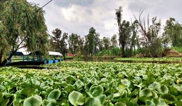Xochimilco Farm Tour: Kennen Sie ein Bauernhofessen und steigen Sie auf eine Trajinera