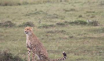 11 Daagse Tanzania Safari & Strandvakantie Zanzibar-rondreis