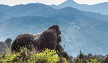20 Days Uganda, Kenya, Tanzania Wildlife Safari. Tour
