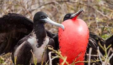 5 Day Galapagos Essential Island Hopping Tour (San Cristobal & Santa Cruz) Tour