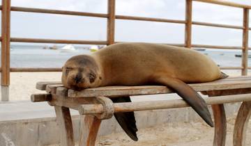 4 Day Galapagos Island Hopping Tour (San Cristobal) Tour