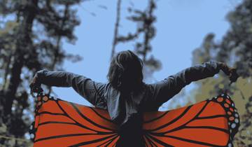 Circuito Tour Mariposa Monarca México: Visita Sierra Chincua y Angangueo