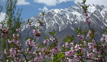 HUNZA APRICOT BLOSSOM TOUR Tour