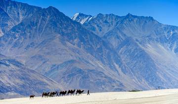 Unglaubliches Leh Ladakh Naturerlebnis Rundreise