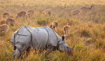 Nordostindien Scenic Hills & Kaziranga Wildlife Experience