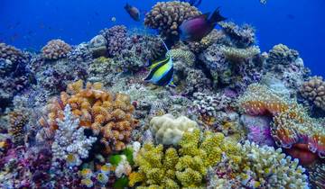 Great Barrier Reef Entdeckung mit Tropical Queensland Highlights Cairns → Cairns (2027) Rundreise
