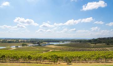 Hoogtepunten van de Hunter Valley en Murray River Sydney → Melbourne (2027)-rondreis