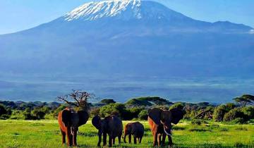7 Tage / 6 Nächte Amboseli-Aberdare-Lake Nakuru-Masai Mara