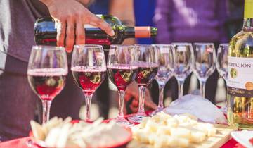 Mexican Wine Tour: Savor Wine, Cheese and Bernal’s Charm Tour