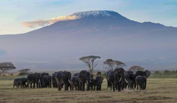 Ultimative 6 Tage Marangu Route Trek zum Uhuru Peak Rundreise