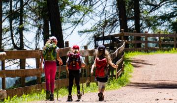Circuito experiencia definitiva de senderismo de 4 días por la Ruta Marangu en el Kilimanjaro