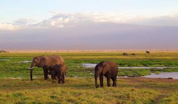 Premium 6 Tage Marangu Route Kilimandscharo Besteigung Rundreise