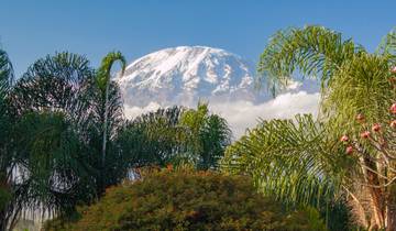 Circuito Mejor Excursión Kilimanjaro Ruta Marangu 4 Días