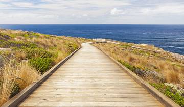 Aventure sur l'île Kangourou (22 destinations)