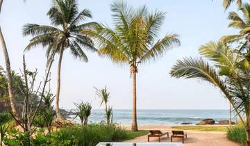 Sri Lanka Entdeckung: Berge, Geschichte und Tierwelt Rundreise