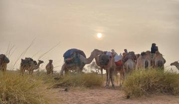 Deep Sahara Expedition Mauritanie - 12 jours d'aventure dans l'Adrar et l'œil du Sahara