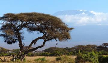 Premium 2 Days Marangu Route Hiking Package circuit