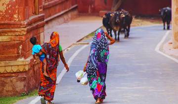India Heritage & Kerala Coastal Experience