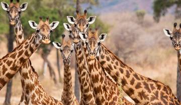 9 Day Tanzania Exclusive Holiday